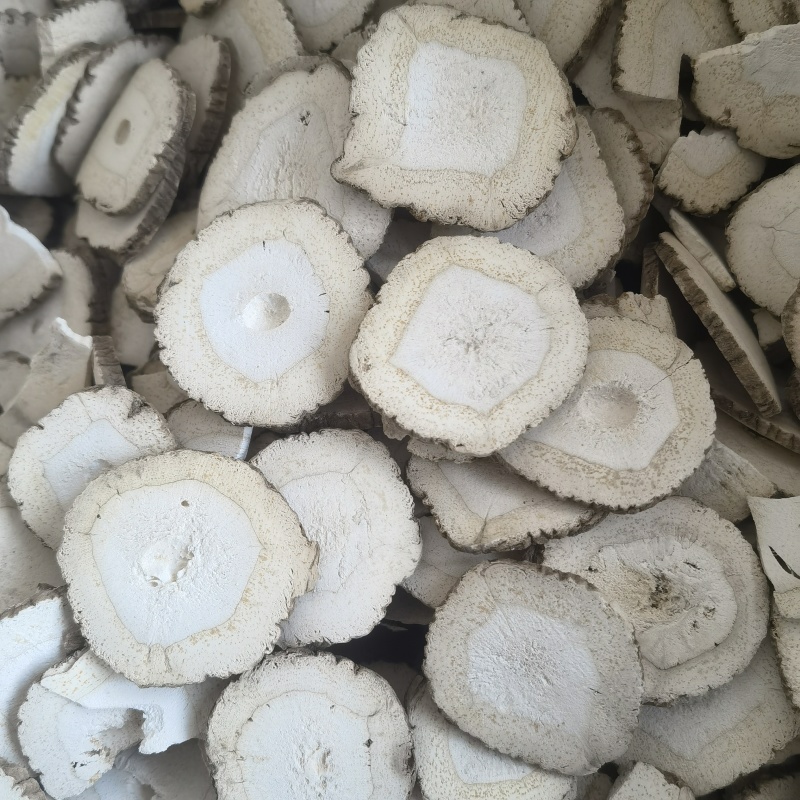 白芷川白芷片规格齐全1000g起批关书药业批发各种中药