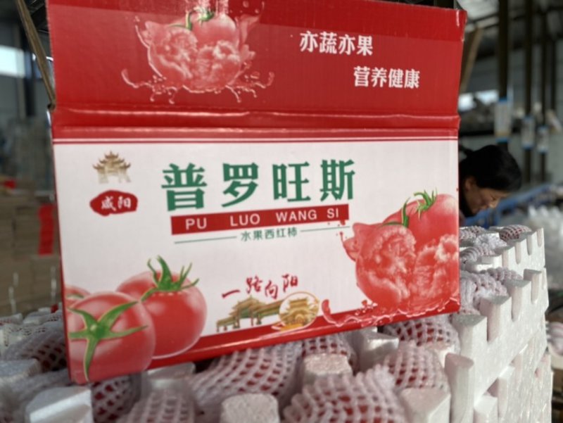 陕西泾阳普罗旺斯水果西红柿全网一件代发