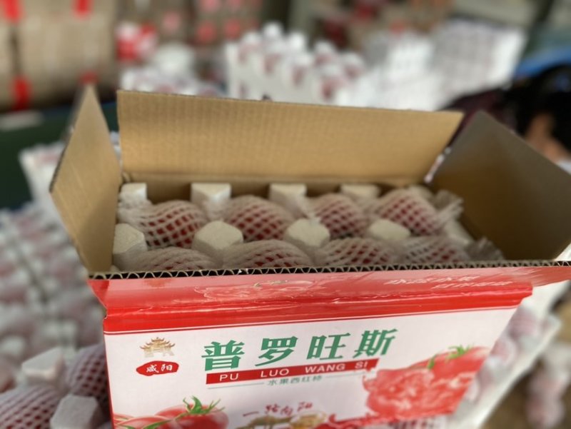 陕西泾阳普罗旺斯水果西红柿全网一件代发
