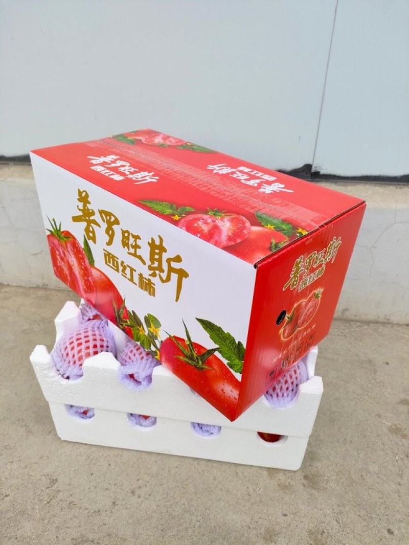 陕西泾阳普罗旺斯水果西红柿全网一件代发