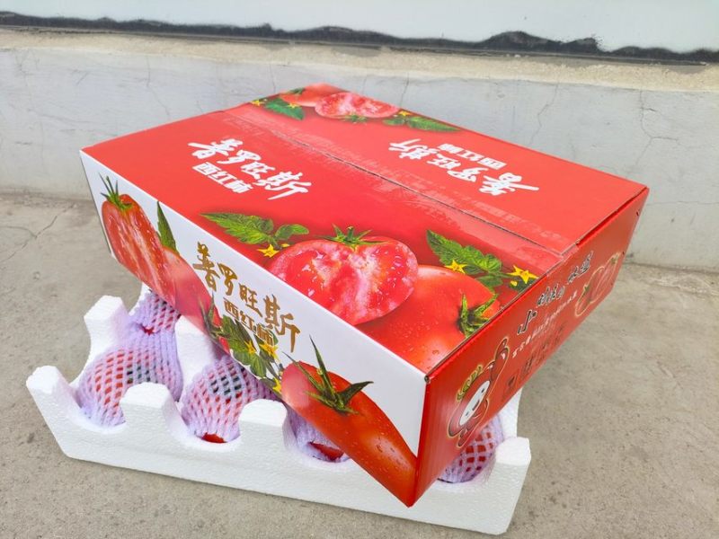 陕西泾阳普罗旺斯水果西红柿全网一件代发