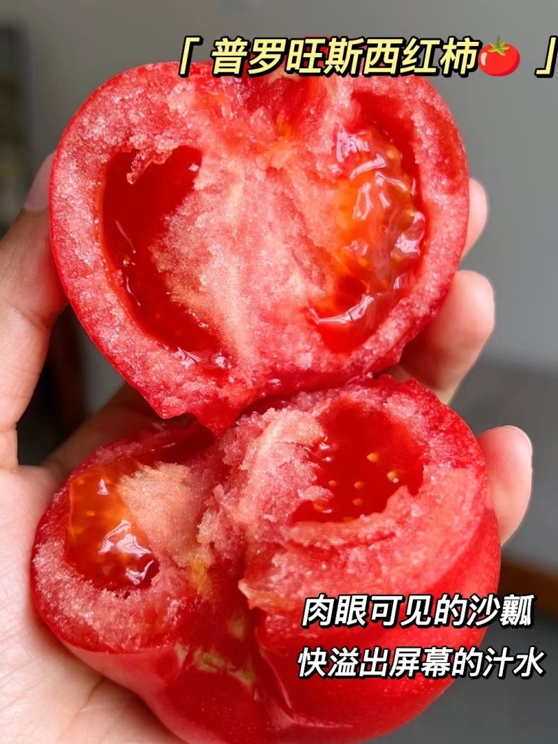 陕西泾阳普罗旺斯水果西红柿全网一件代发