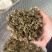 仙鹤草龙牙草保庆药业批发仙鹤草实拍过筛货