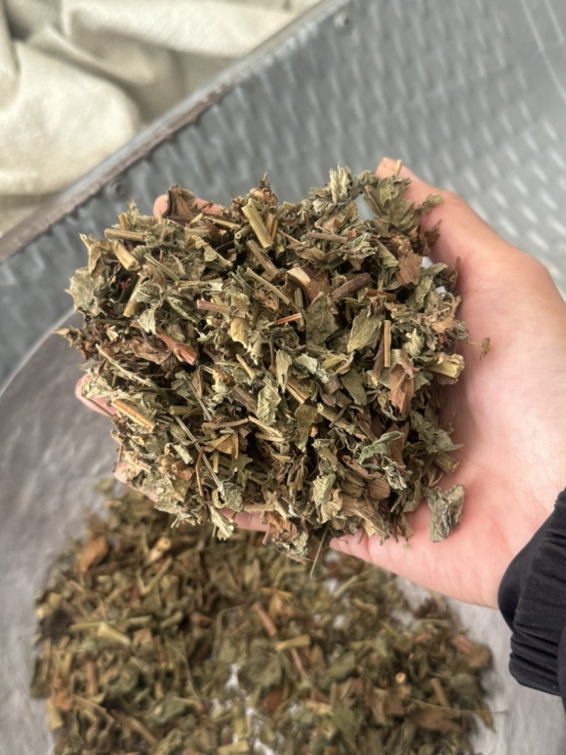 仙鹤草龙牙草保庆药业批发仙鹤草实拍过筛货