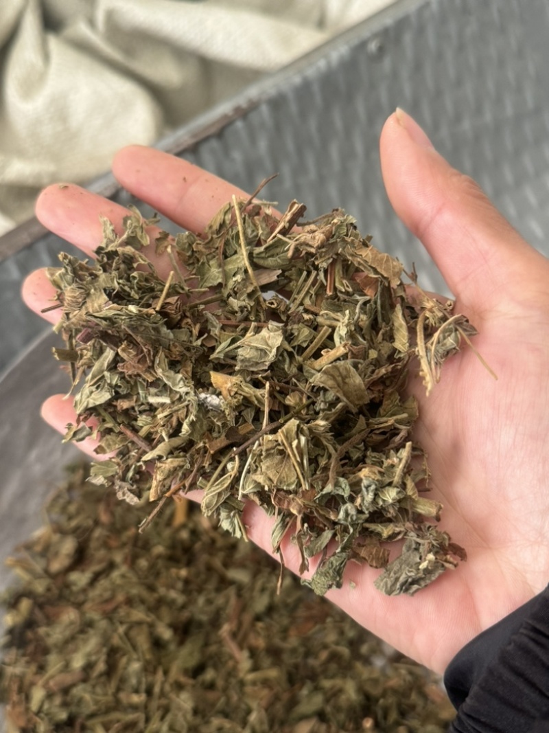 仙鹤草龙牙草保庆药业批发仙鹤草实拍过筛货