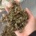 仙鹤草龙牙草保庆药业批发仙鹤草实拍过筛货