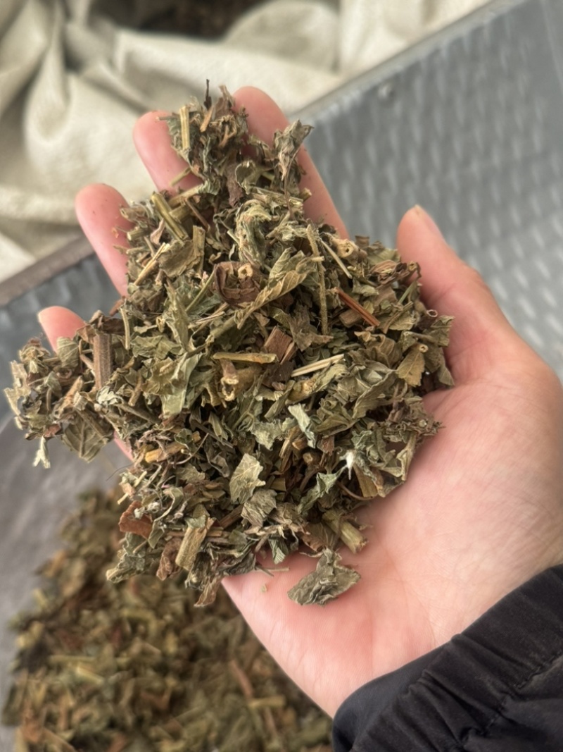 仙鹤草龙牙草保庆药业批发仙鹤草实拍过筛货