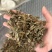 仙鹤草龙牙草保庆药业批发仙鹤草实拍过筛货