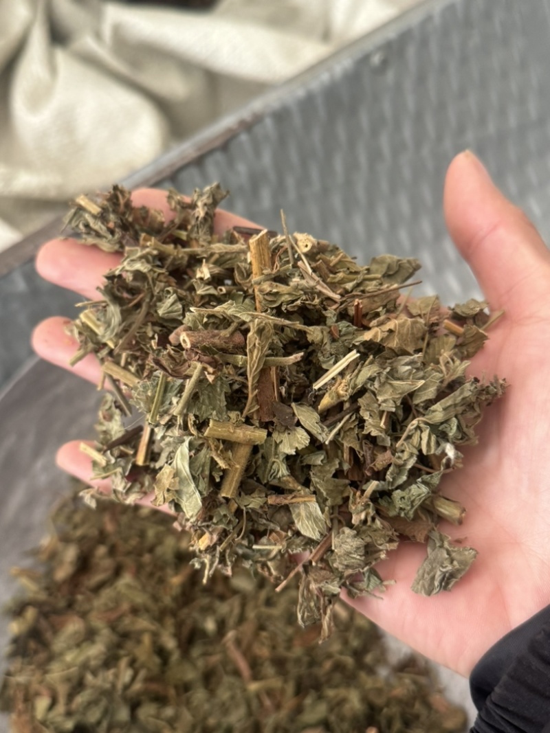 仙鹤草龙牙草保庆药业批发仙鹤草实拍过筛货