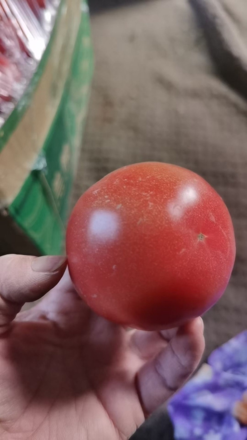 普罗旺斯精品小果