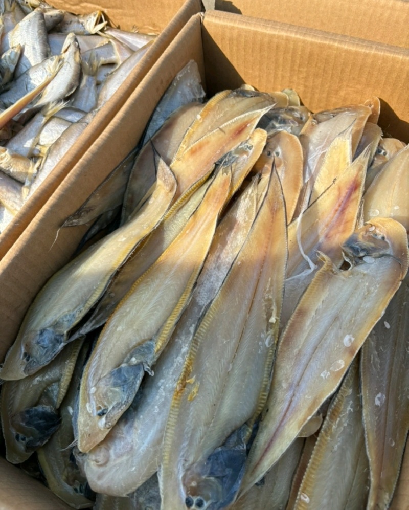 鳎木鱼、龙利鱼、一款腌制的鱼、产地直发休闲小零食代发