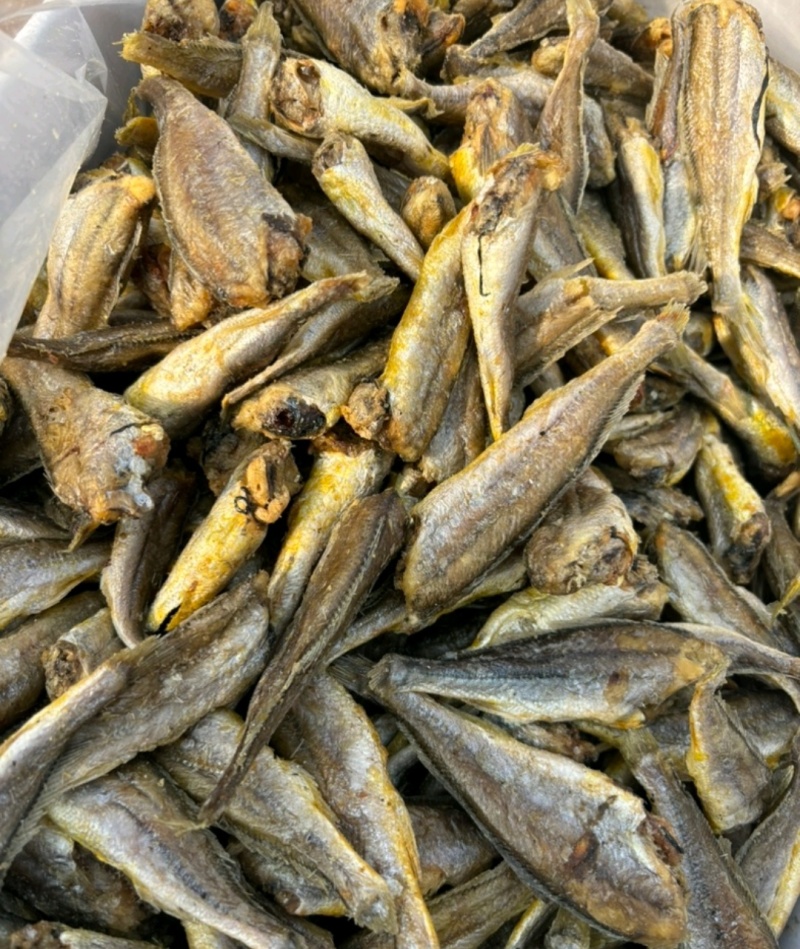 「推荐」香酥小黄鱼、酥酥脆脆都可以自产自销保质保量
