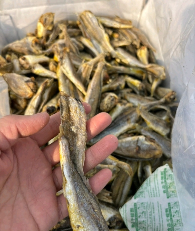 「推荐」香酥小黄鱼、酥酥脆脆都可以自产自销保质保量