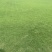 各种绿化草皮，台湾草，大叶油……