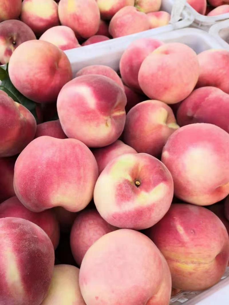 大量桃子上市品种多价格美丽