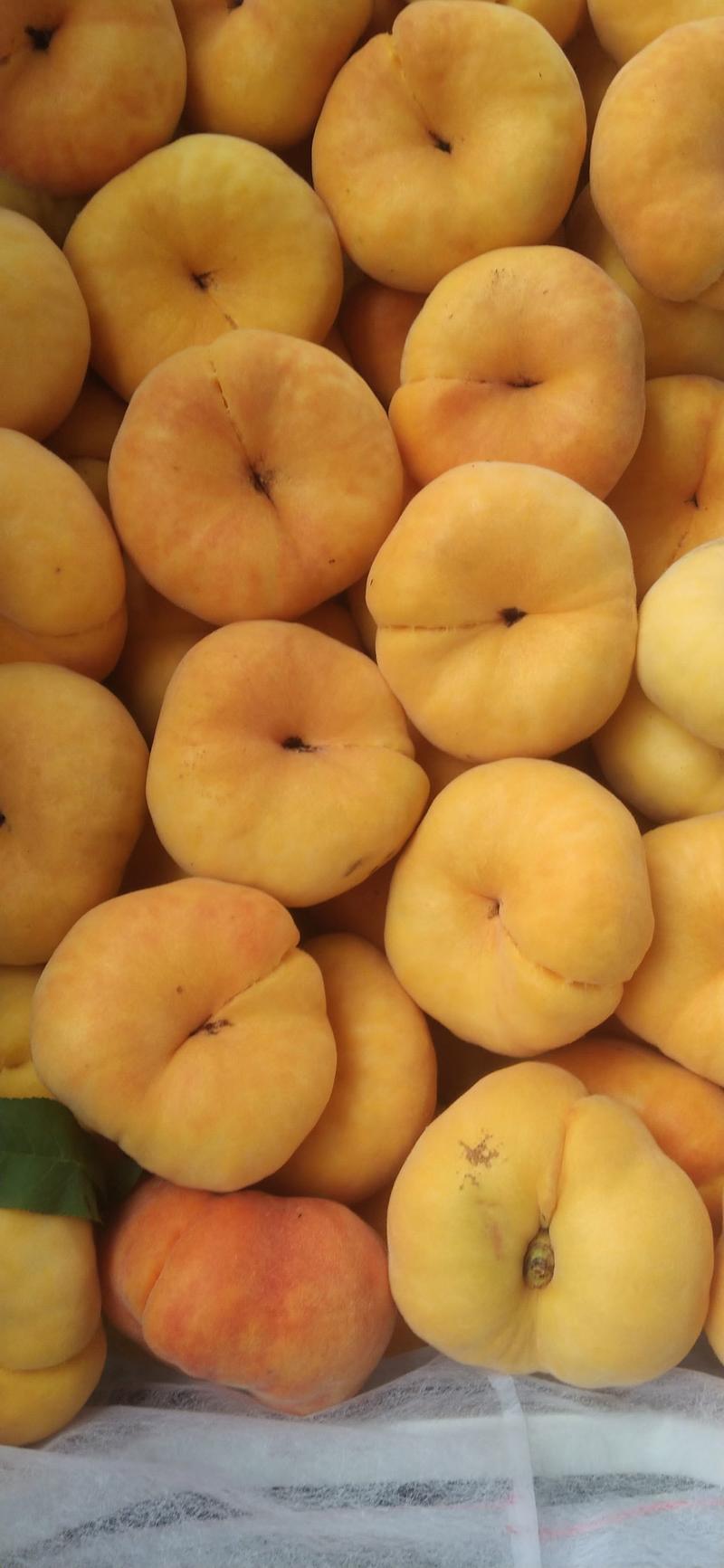 大量桃子上市品种多价格美丽