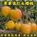 黄果佳红大樱桃苗黄蜜大樱桃苗品种纯真基地直发成活率高