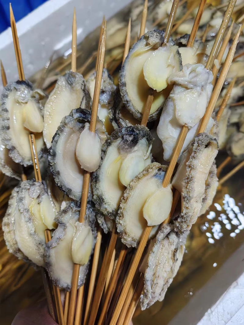 鲍鱼肉全熟鲍鱼肉活鲍鱼加工一手货源价格便宜欢迎采购