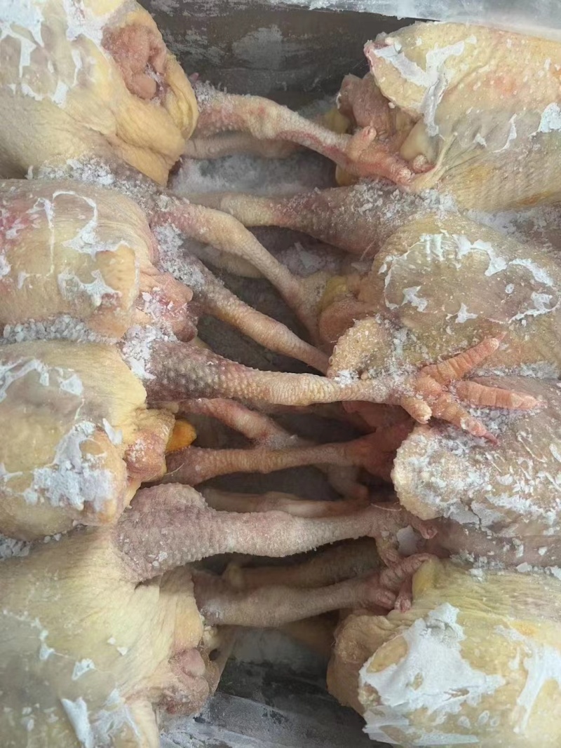 二级老母鸡，工厂直发全新货。