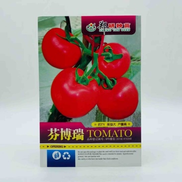 芬博瑞番茄种子抗TY大果粉红色品种种子