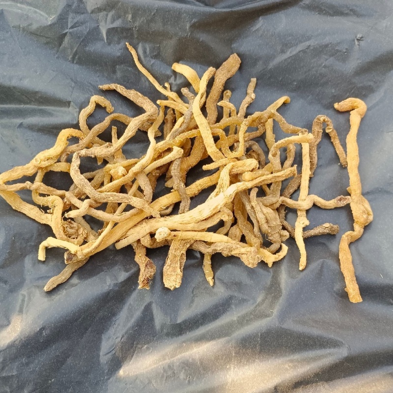 大别山野生干玉竹统货干货