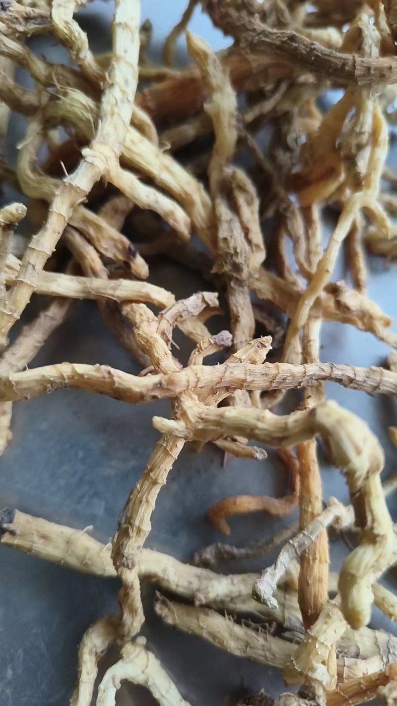 大别山野生干玉竹统货干货