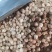 白蔻仁白豆蔻白扣纯干无硫火锅烧肉可打粉香料大