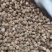 白蔻仁白豆蔻白扣纯干无硫火锅烧肉可打粉香料大