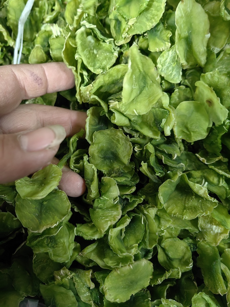 脱水莴笋片江苏基地直供质量保证一手货源欢迎订购