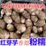 端午节上市的江西有机红芽芋