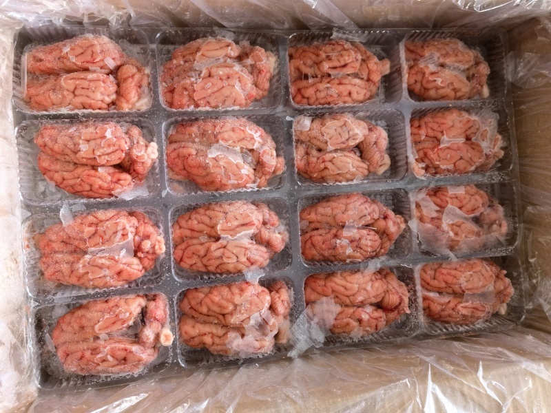 单冻脑花一箱96个8公斤新货