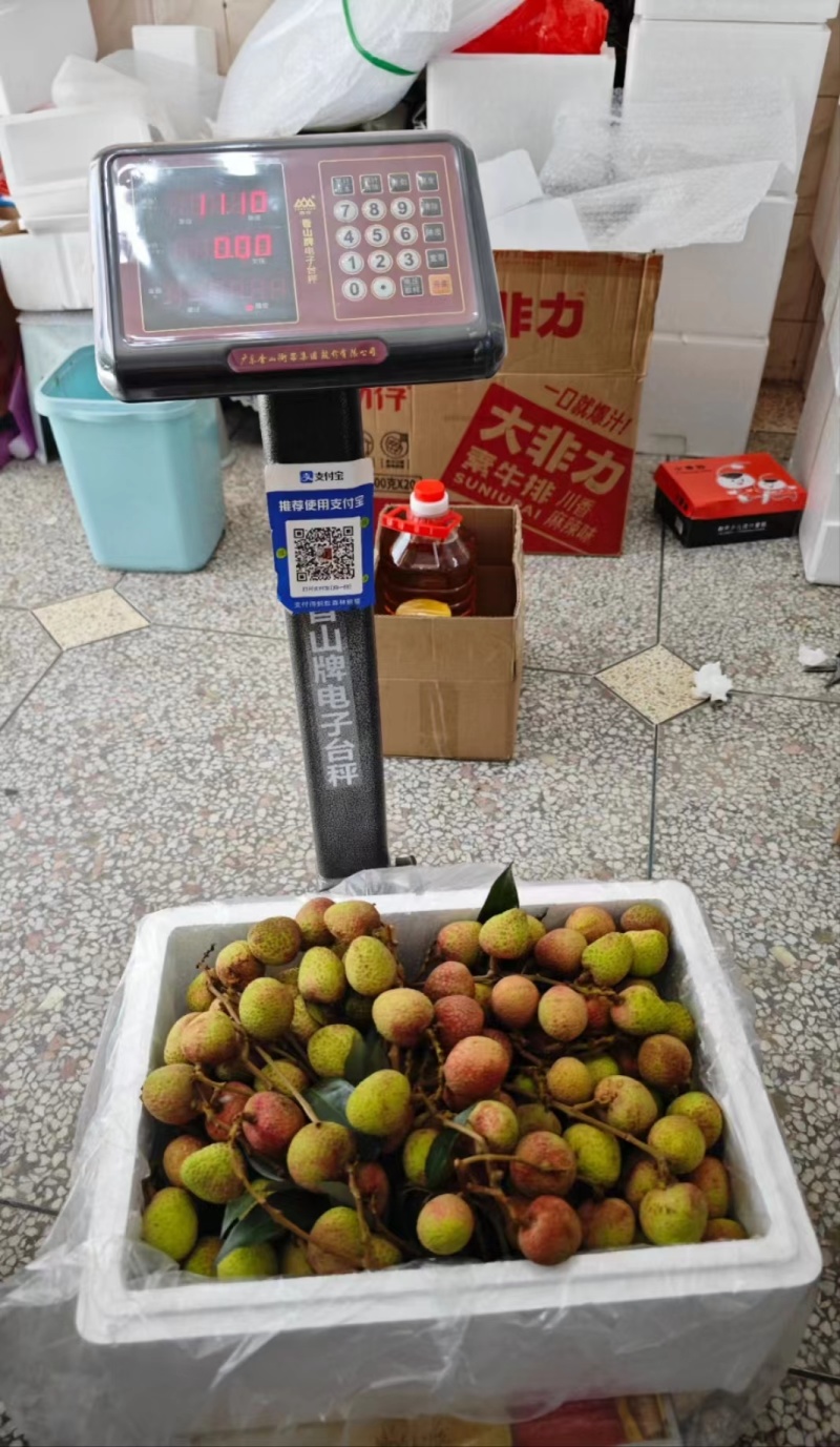 荔枝（科技一号）