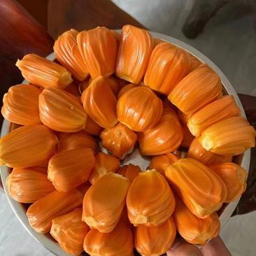 印尼红肉菠萝蜜越南工厂货源直发，批发一件代发