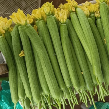 鲜花丝瓜