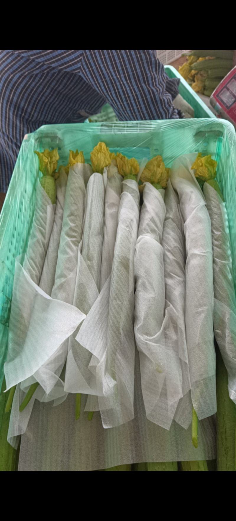 鲜花丝瓜