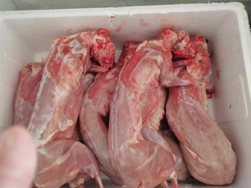长期供应白条兔肉及分割兔产品