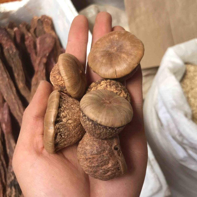 风流果货源充足质量好价格低欢迎选购