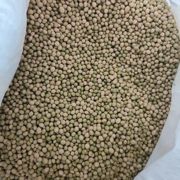 毛豆豆种
