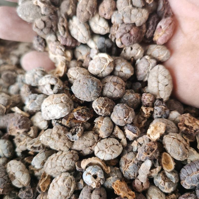 砂仁米进口去皮砂仁米颜色好批发零售各种规格