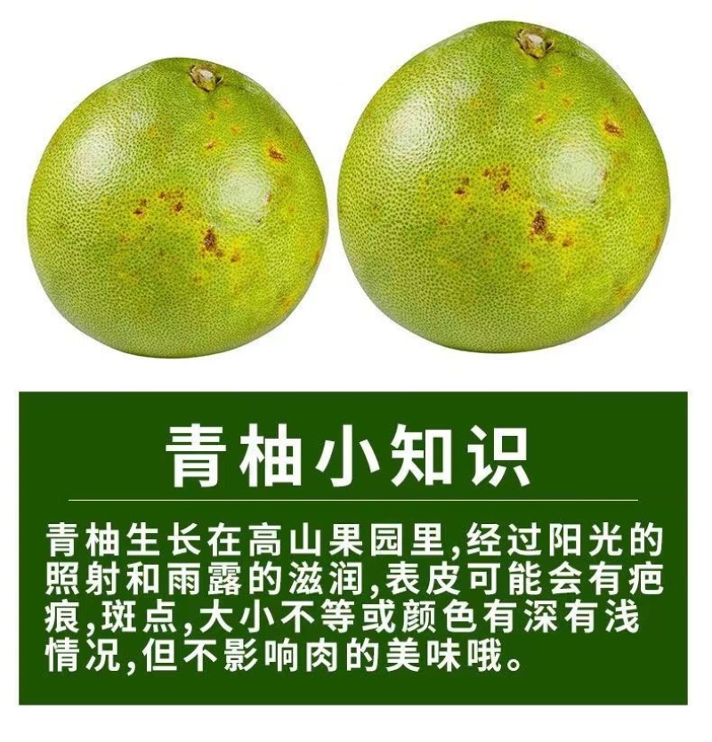 泰国青柚支持各大平台一件代发，质量保证，零售后爆
