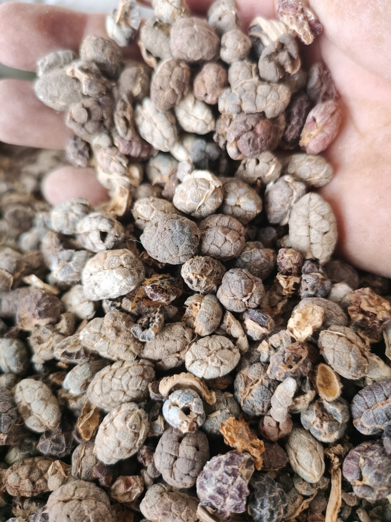 砂仁米进口去皮砂仁米颜色好批发零售各种规格