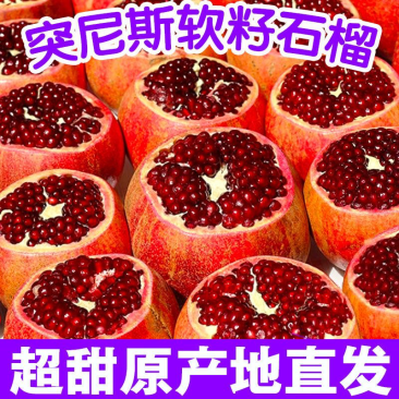 欢迎各大老板咨询各大平台一件代发，公司在会理产地质量保证