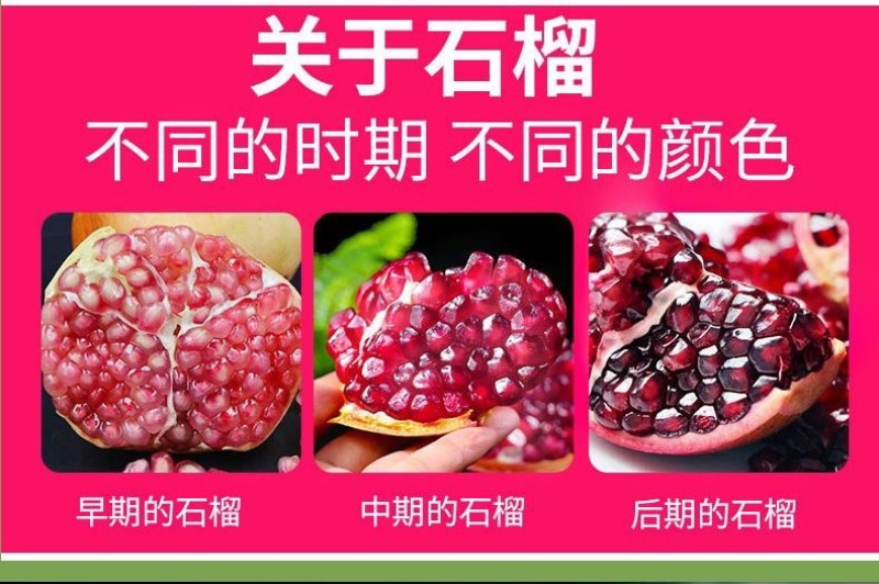 欢迎各大老板咨询各大平台一件代发，公司在会理产地质量保证