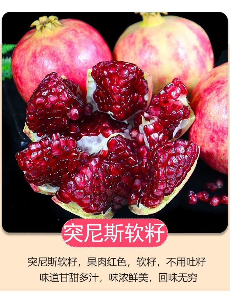 欢迎各大老板咨询各大平台一件代发，公司在会理产地质量保证