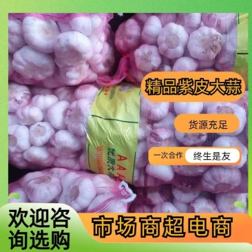 精品大蒜扒皮蒜紫皮大蒜紫皮蒜土蒜市场商超电商