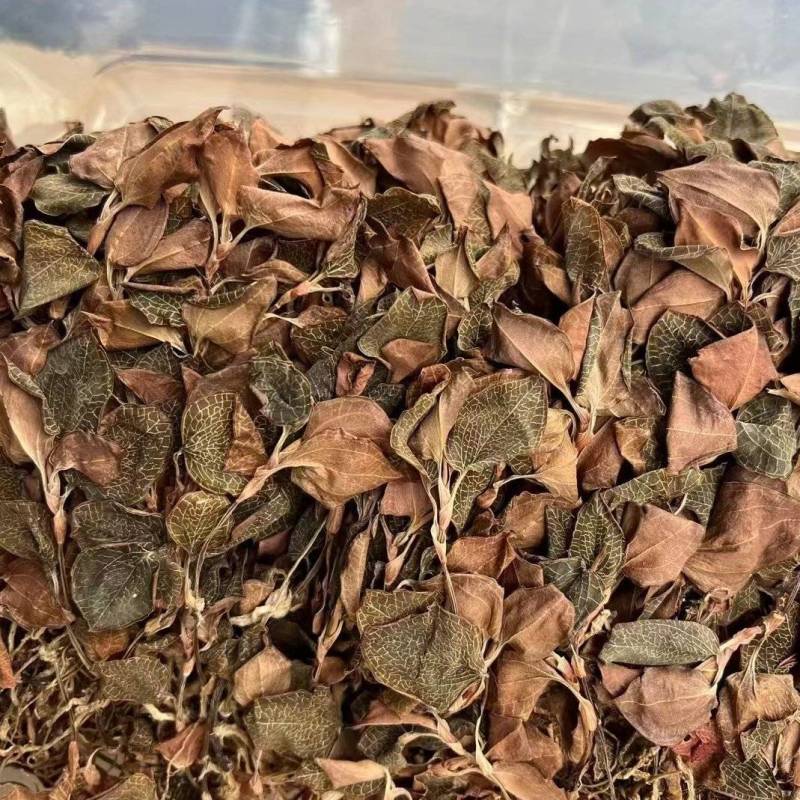 金线莲金线兰金线莲干货大货批发