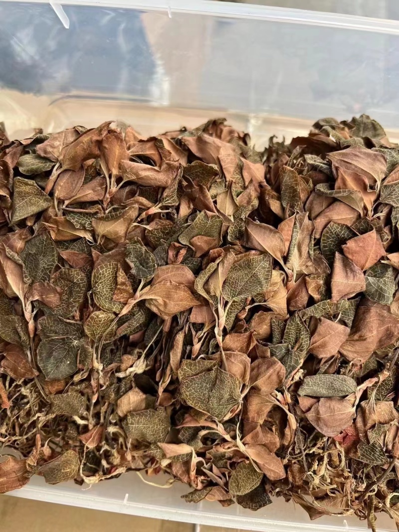 金线莲金线兰金线莲干货大货批发