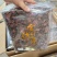 金线莲金线兰金线莲干货大货批发
