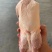 白条鸭