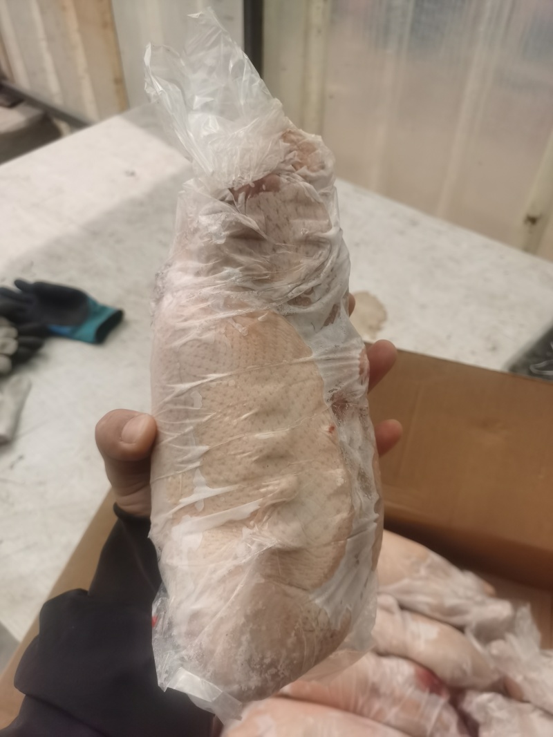 白条鸭